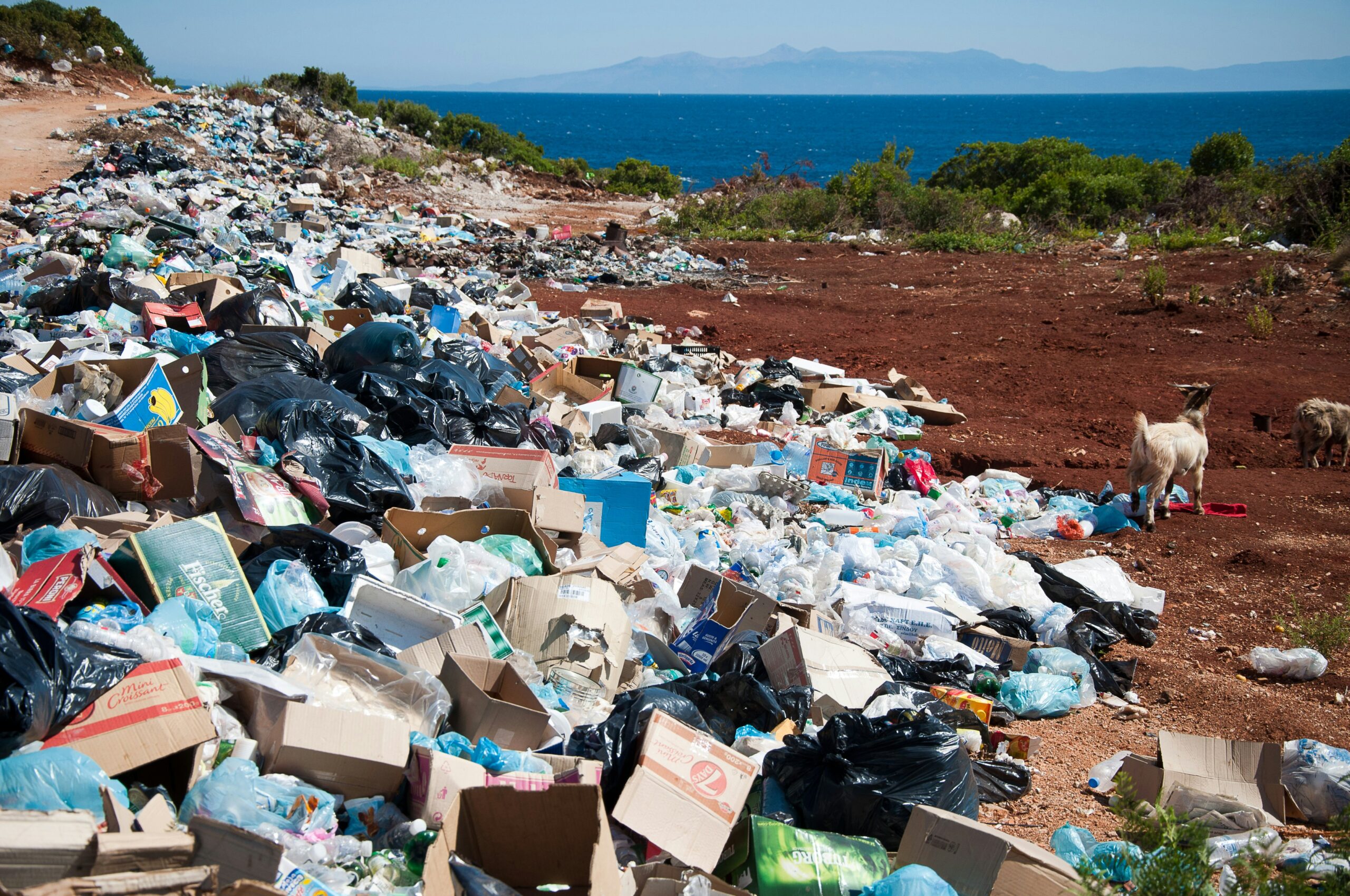 Large pile of plastic waste and discarded packaging along a coastal shoreline, illustrating the environmental impact of plastic pollution.